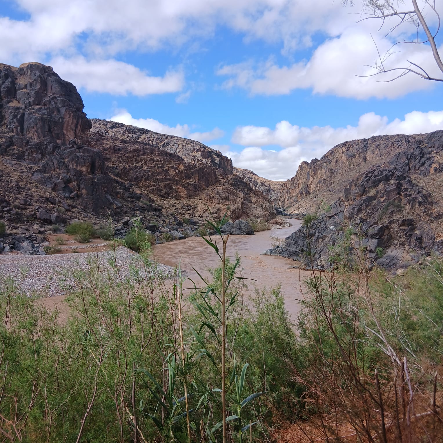 Sidi Flah Oasis and Dades Valley excursion near Skoura